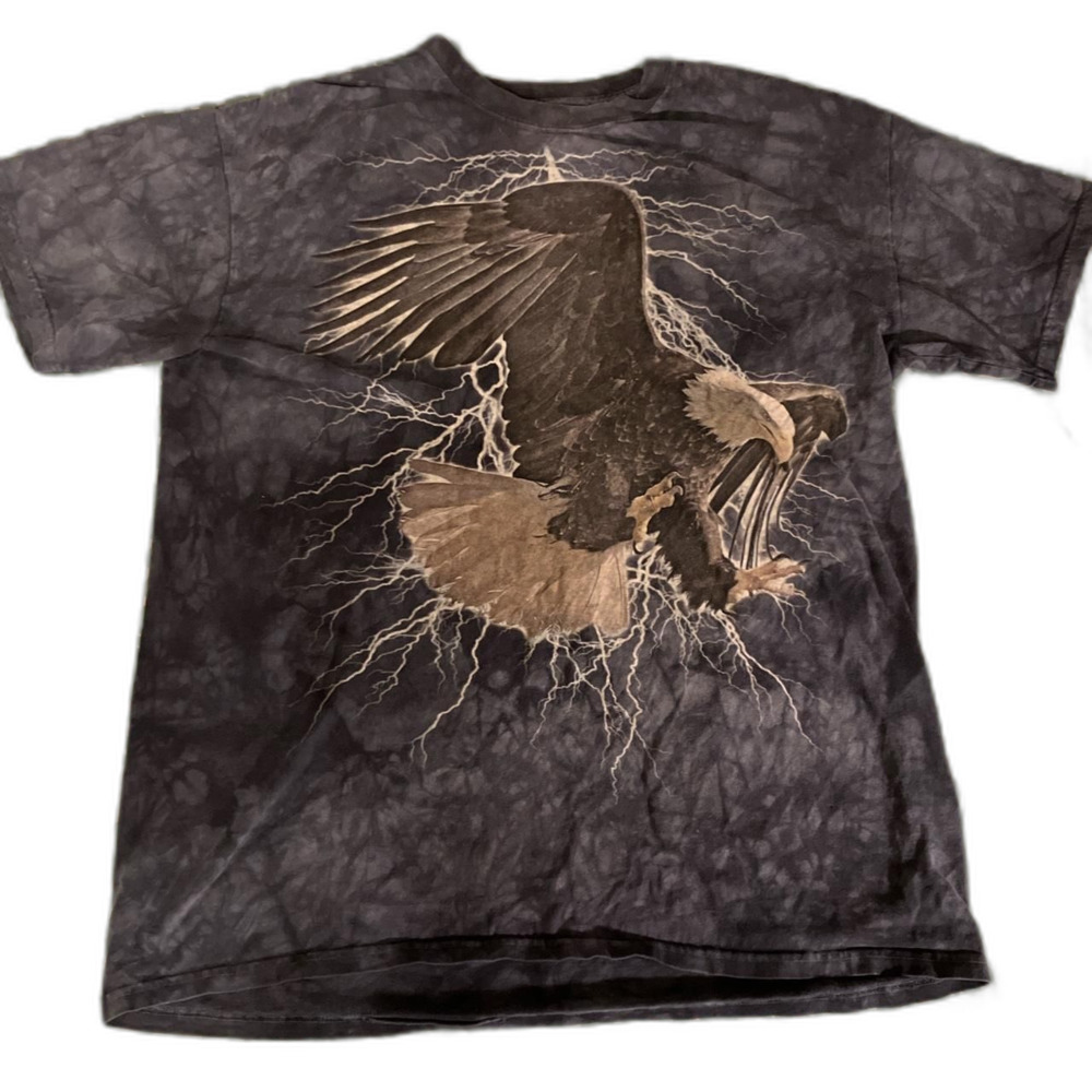 TheMountain Men's Grey and Blue Bald Eagle/Lightning Nature Wildlife T-shirt